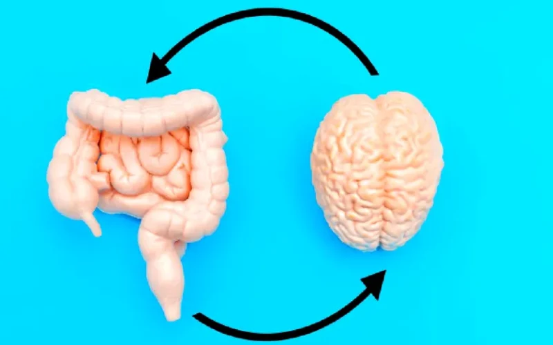Legătura dintre intestin și sănătatea mentală: cum influențează microbiomul starea de spirit