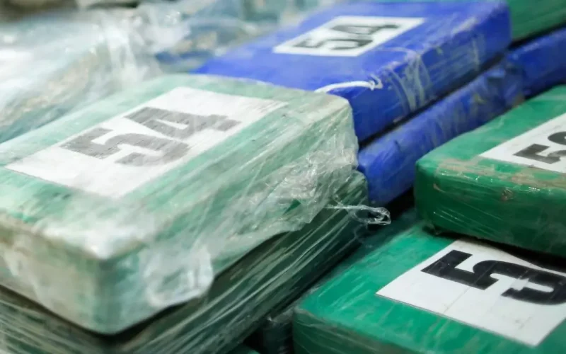 Captură record de droguri în Chile: peste 100 de tone de cocaină și ketamină, ascunse în transporturi de lemn pentru Europa